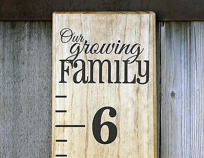 DIY Vinyl Growth Chart Ruler Decal Kit - Large # style, Our Growing Family