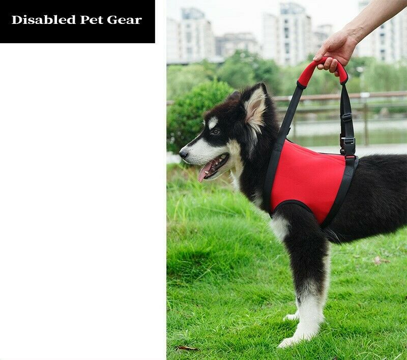 Front Dog Support Lift or Rehabilitation Harness, See Description, USA Seller